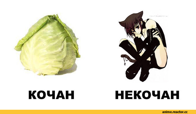 Неко, Animal Ears, Anime