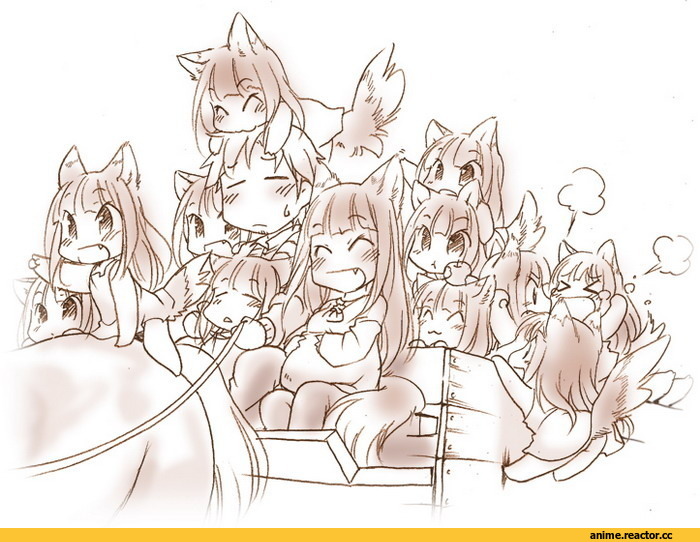 волчица и пряности, Inumimi, Animal Ears, Anime