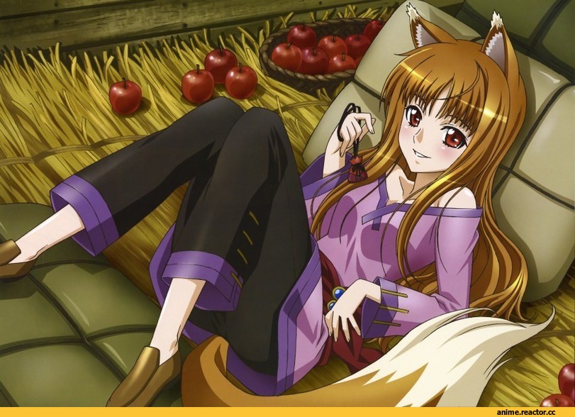 сон, Хоро, волчица и пряности, Inumimi, Animal Ears, Anime