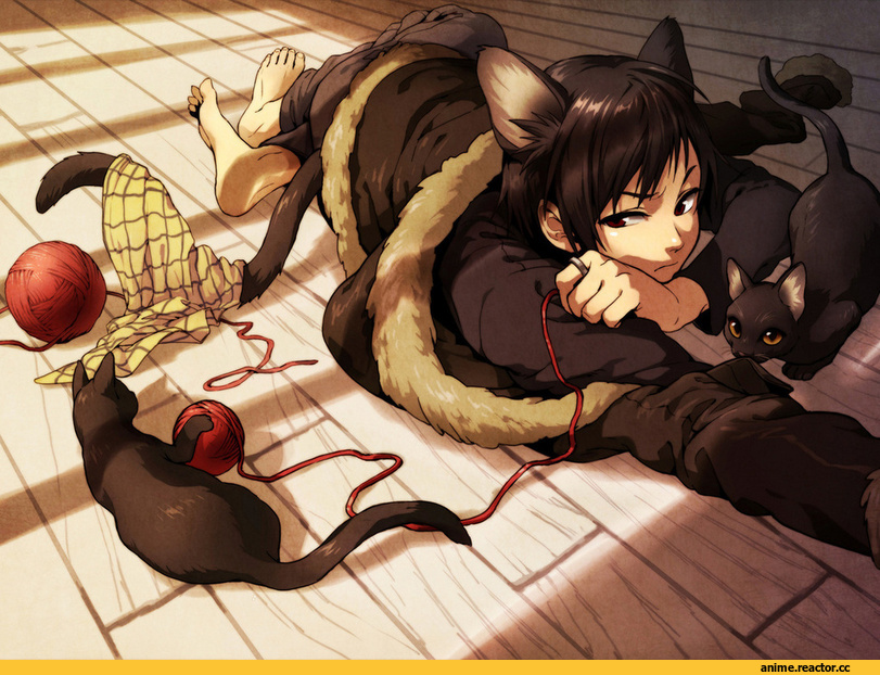 песочница, котэ, Неко, клубок, Animal Ears, Anime