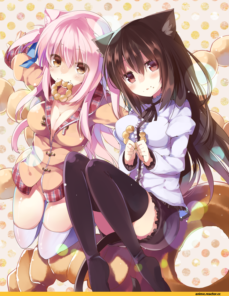 neko, Animal Ears, Anime