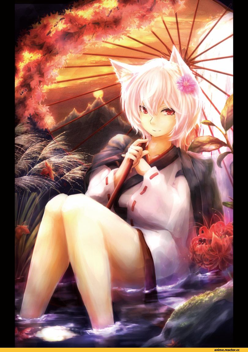 Inubashiri Momiji, border of season, Animal Ears, Inumimi, Anime