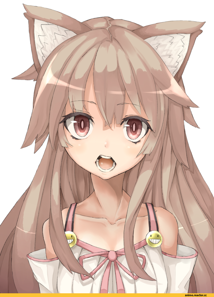 neko, Animal Ears, Anime