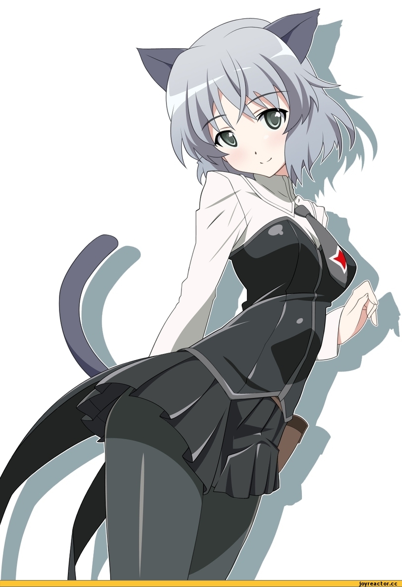 Strike Witches, sanya v litvyak, Неко, Animal Ears, Anime