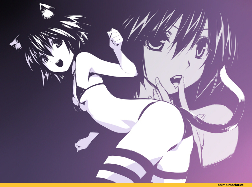 Animal Ears, Anime