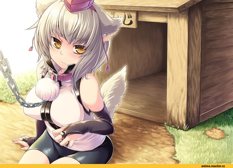 Inubashiri Momiji, Touhou Project, Animal Ears, Inumimi, Anime