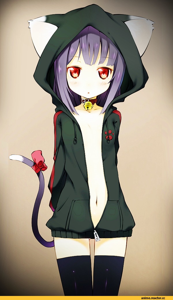 neko, Animal Ears, Anime