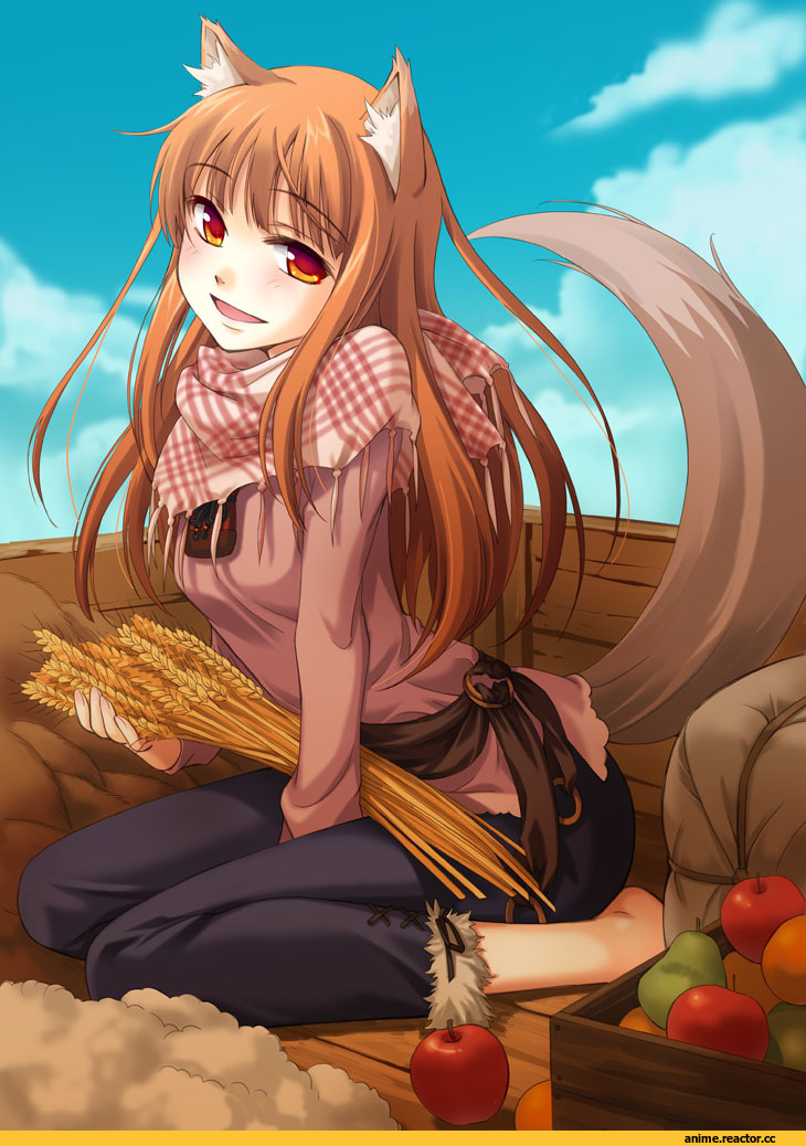 Holo, волчица и пряности, Inumimi, Animal Ears, Anime