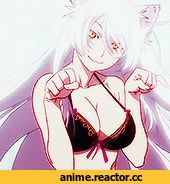neko, няша, гифки, Tsubasa Hanekawa, Animal Ears, Anime