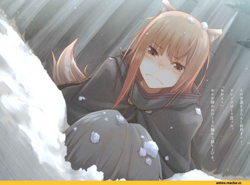 Spice and Wolf, Inumimi, Animal Ears, Anime