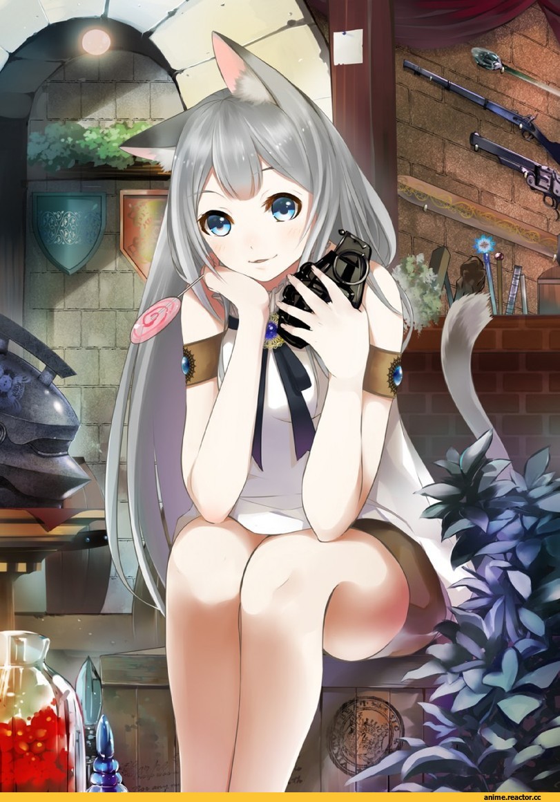 neko, Опасные Няшки, tate (donnguriumai), Animal Ears, Anime Няши, Anime