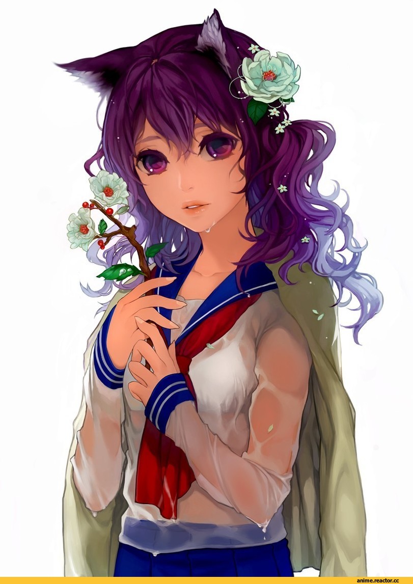 neko, ddongu, Animal Ears, Anime