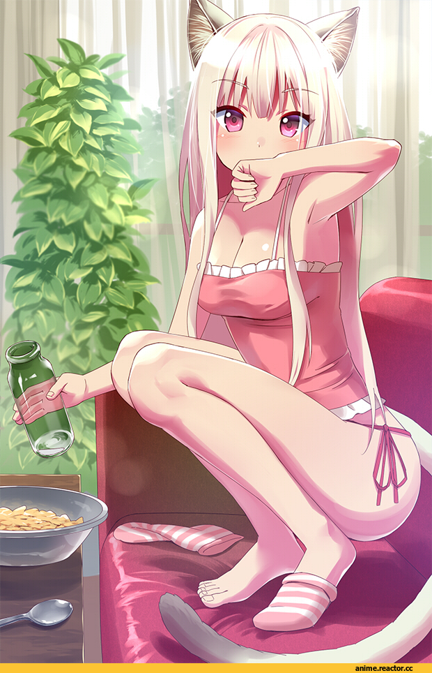 нэко, Animal Ears, Anime