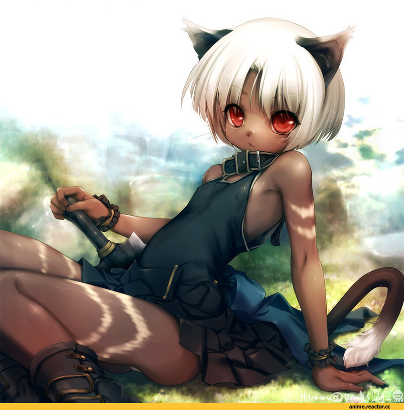 Hitomaru, neko, Animal Ears, Anime