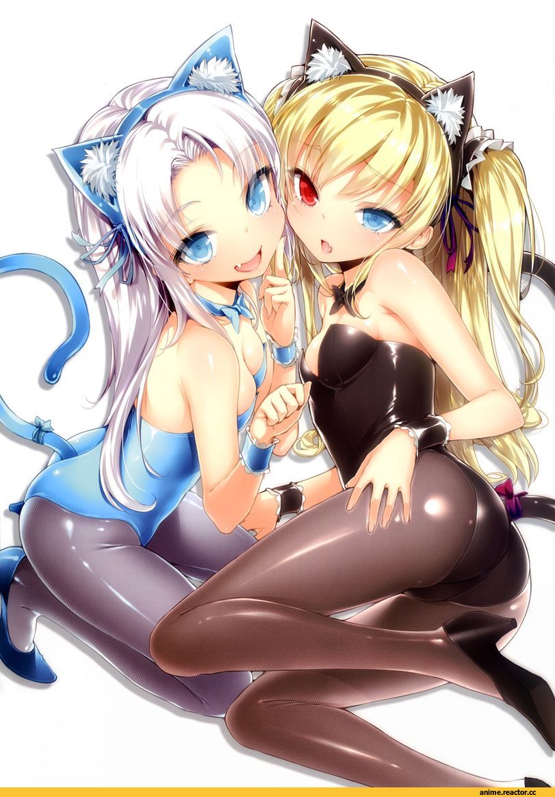 Boku wa Tomodachi ga Sukunai, Hasegawa Kobato, Takayama Maria, nekomimi, Animal Ears, Anime