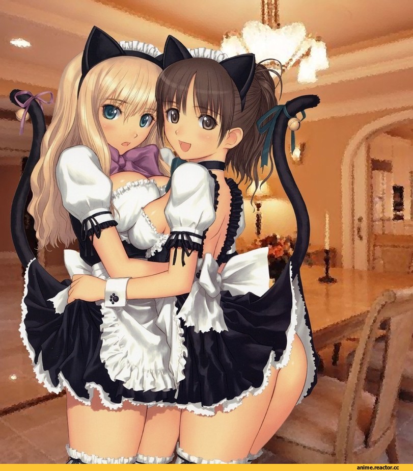 Tony Taka, nekomimi, Animal Ears, Anime