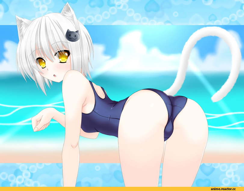 High School DxD, Toujou Koneko, Неко, Animal Ears, Anime