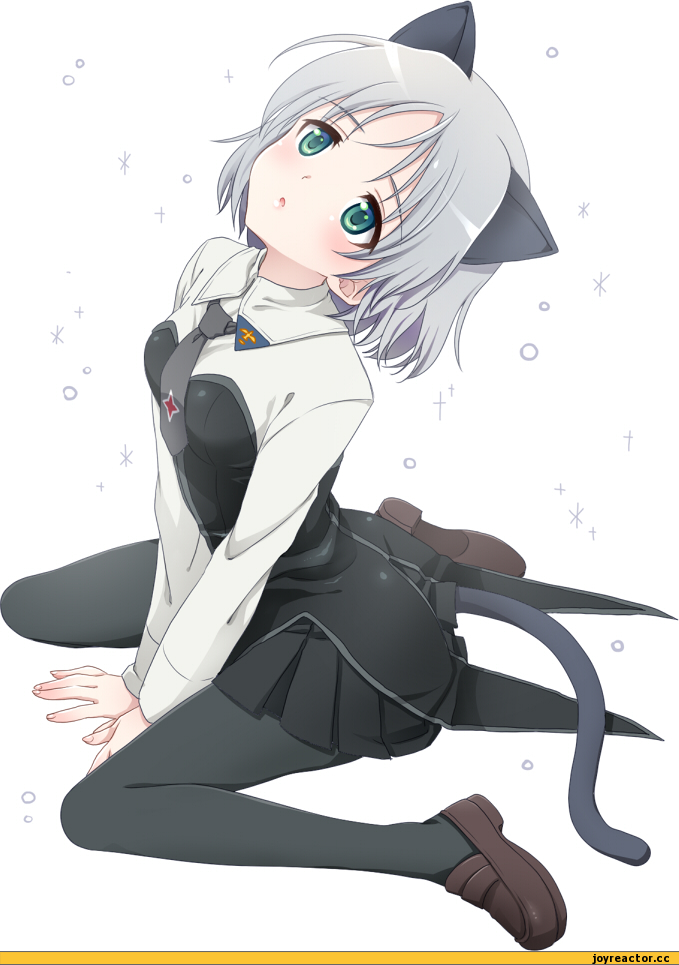 Strike Witches, sanya v litvyak, Неко, Animal Ears, Strike Witches (Anime), Anime