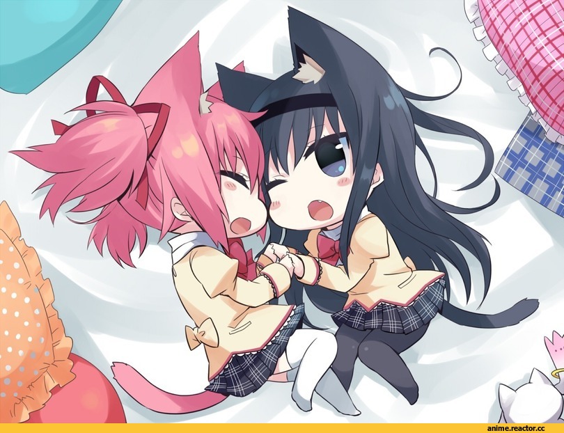 Akemi Homura, Mahou Shoujo Madoka Magica, Kaname Madoka, neko, Animal Ears, Anime