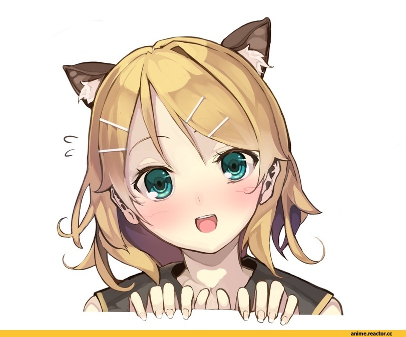 Неко, Anime Новости, Animal Ears, Anime