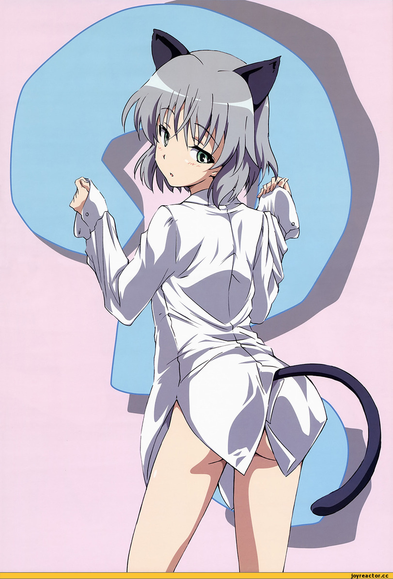 няшка, Strike Witches, sanya v litvyak, Неко, Animal Ears, Anime