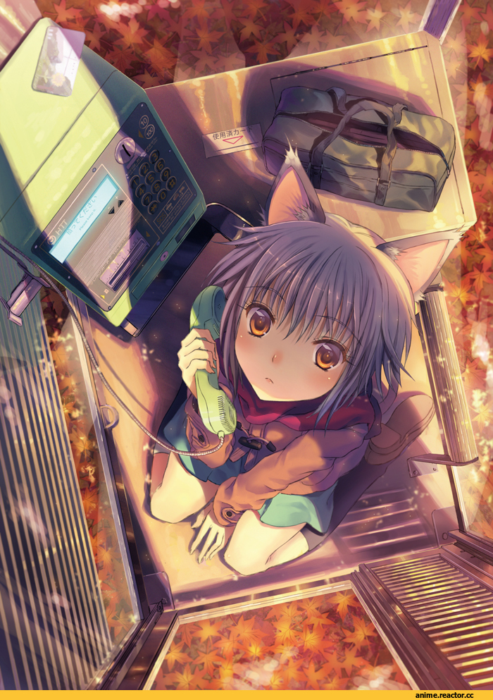 kichiroku, Nagato Yuki, suzumiya haruhi no yuuutsu, neko, Animal Ears, Anime