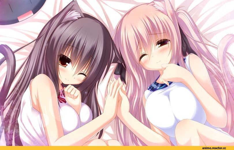 shia syroh, Неко, Animal Ears, Anime