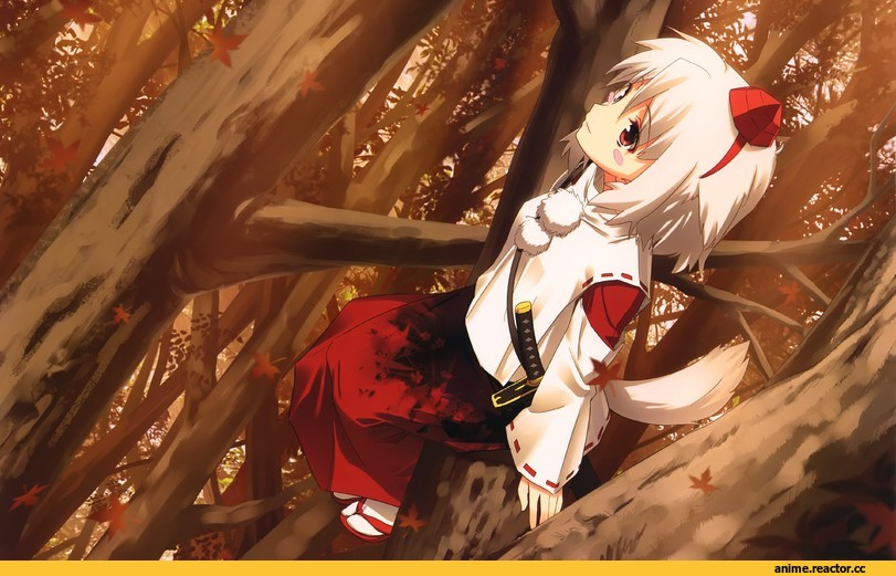 Inubashiri Momiji, Touhou Project, Animal Ears, Inumimi, Anime