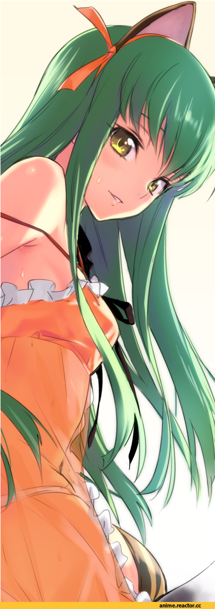 rokkaku (ajisaidenden), neko, Animal Ears, Anime