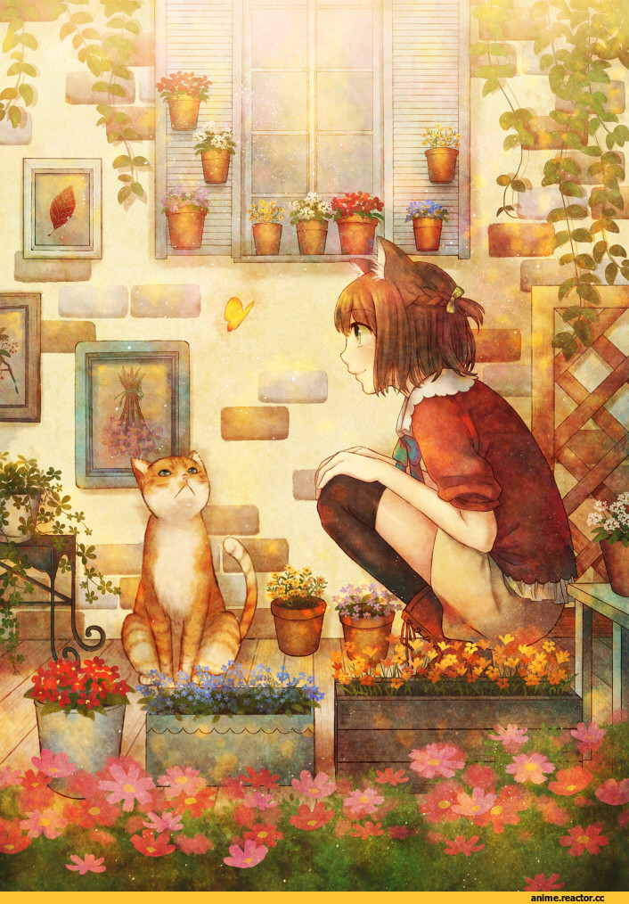 neko, megumu, Animal Ears, Anime