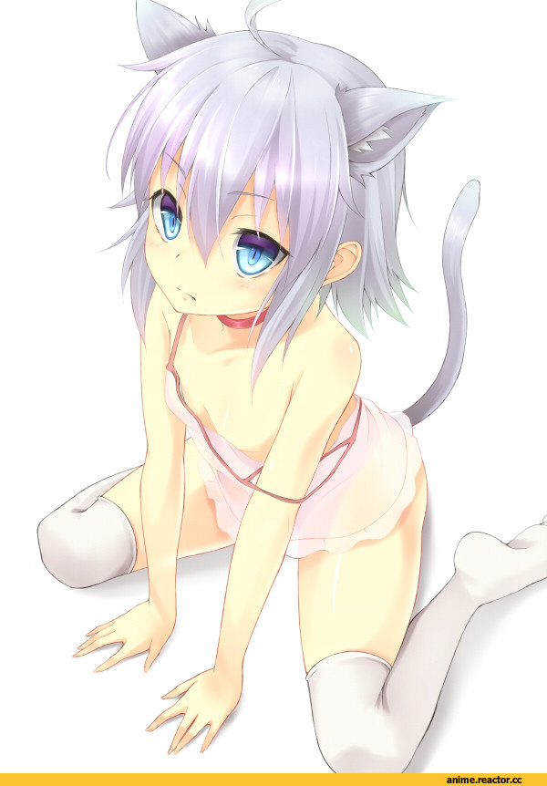 Неко, няка, нека, няшка, Animal Ears, Anime