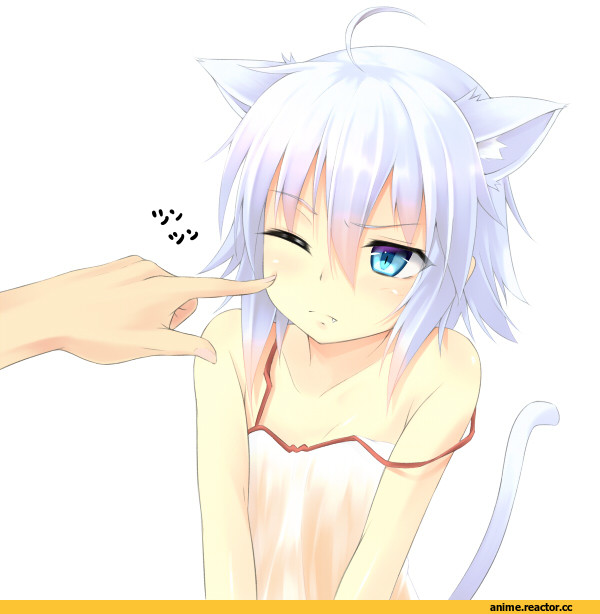 Неко, няка, нека, няшка, мимими, урурур, няшечка, Animal Ears, Anime