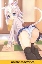 Неко, няка, нека, панцу, Animal Ears, Anime