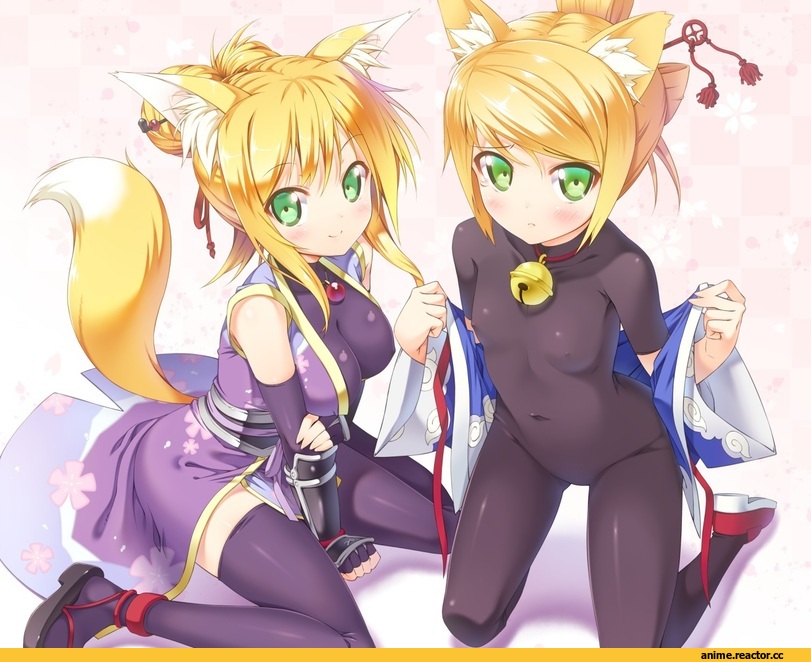 Dog Days, Animal Ears, Kitsune, Anime