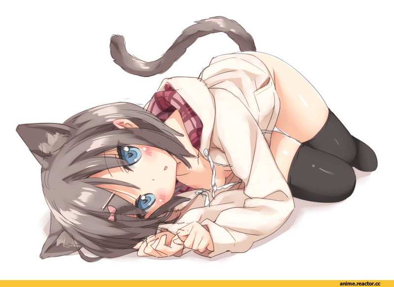 hentai ouji to warawanai neko, Tsutsukakushi Tsukiko, Неко, Animal Ears, Anime