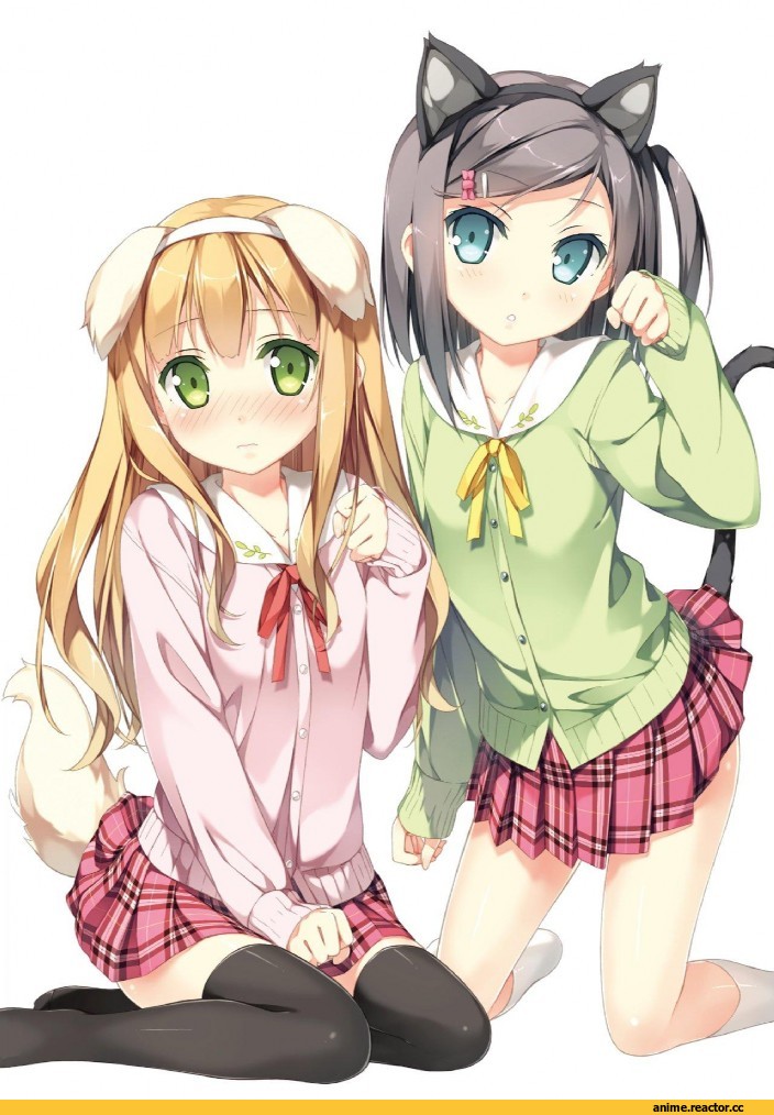 hentai ouji to warawanai neko, Azuki Azusa, Tsutsukakushi Tsukiko, Неко, Animal Ears, Anime
