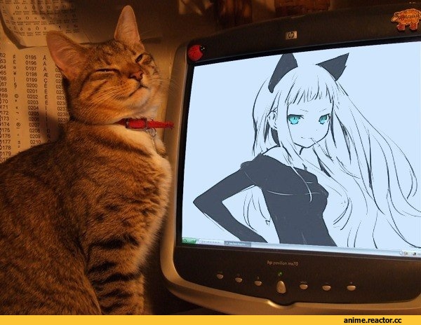 котэ, Неко, Animal Ears, Anime