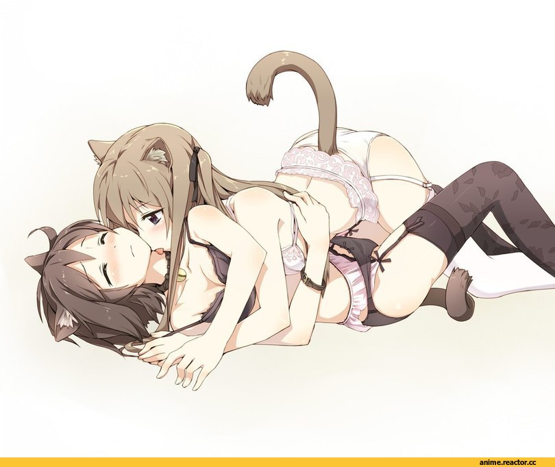 юри, Неко, панцу, Animal Ears, Anime