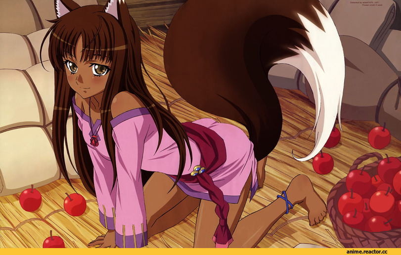 Spice and Wolf, Inumimi, Animal Ears, Anime