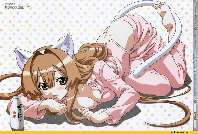 seto no hanayome, Неко, большая картинка, Animal Ears, Anime