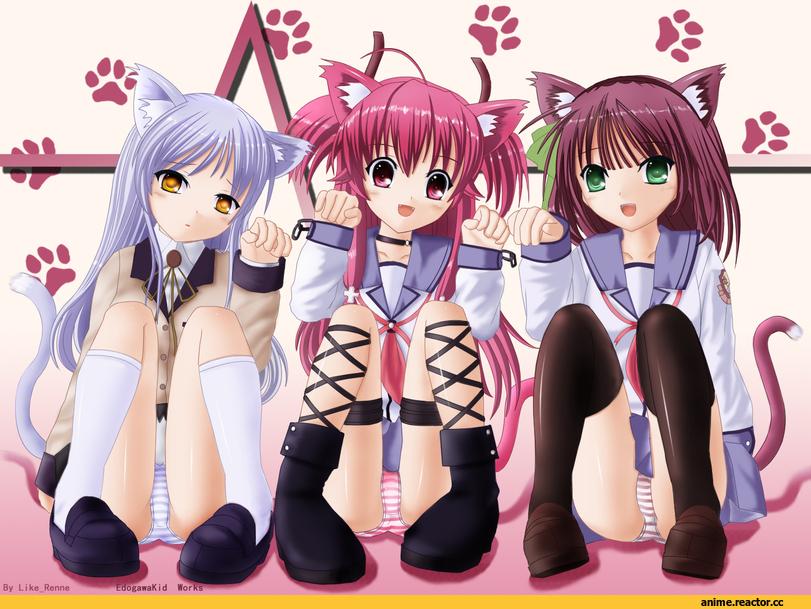 Angel beats, Неко, панцу, Animal Ears, Yui (Angel Beats!), Yuri (Angel Beats!), Tachibana Kanade, Anime
