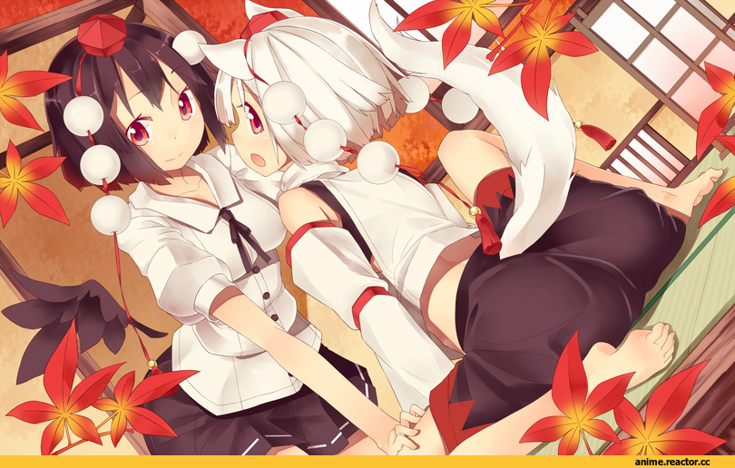 Touhou Project, Shameimaru Aya, Inubashiri Momiji, Animal Ears, Inumimi, Anime