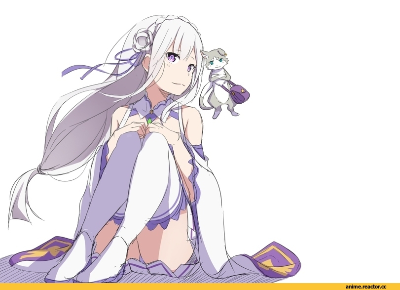 Subaru Natsuki, Re Zero Kara Hajimeru Isekai Seikatsu, Rem (re zero), Anime