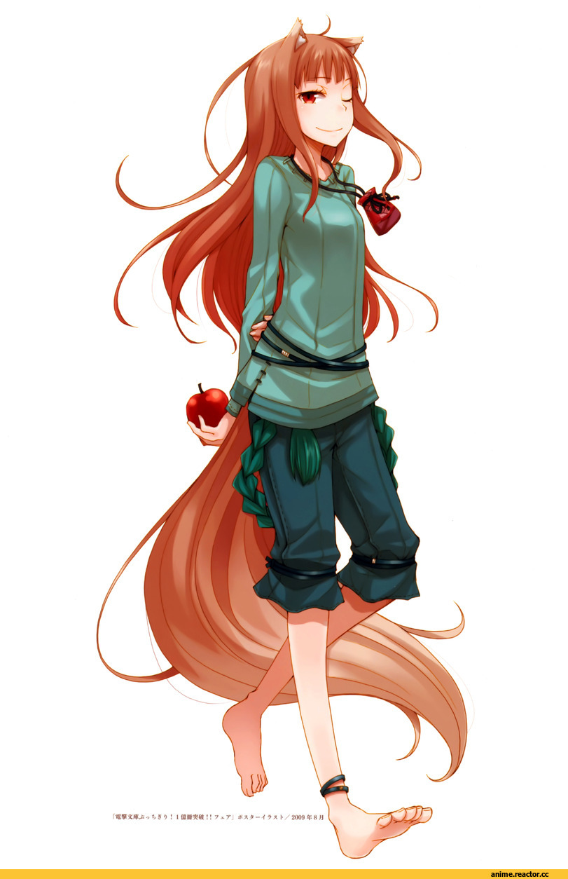 Spice and Wolf, Horo, Animal Ears, Inumimi, Anime