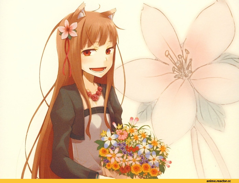 Spice and Wolf, Horo, Inumimi, Animal Ears, Anime
