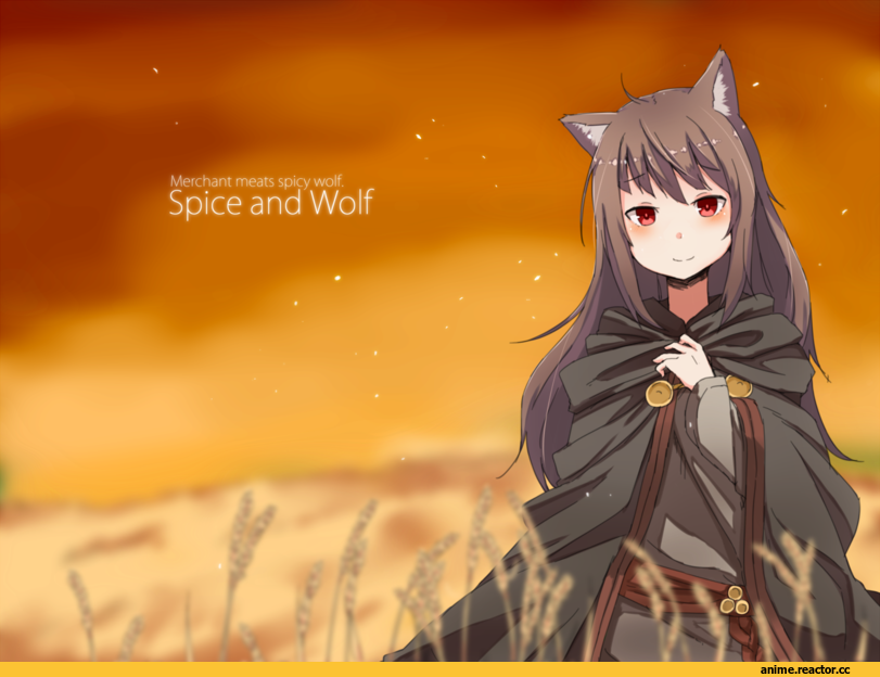 Spice and Wolf, Horo, Animal Ears, Inumimi, Anime
