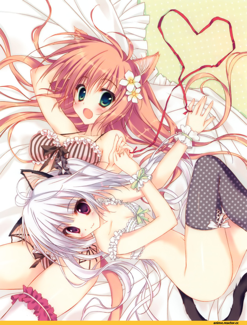 Неко, Animal Ears, Anime