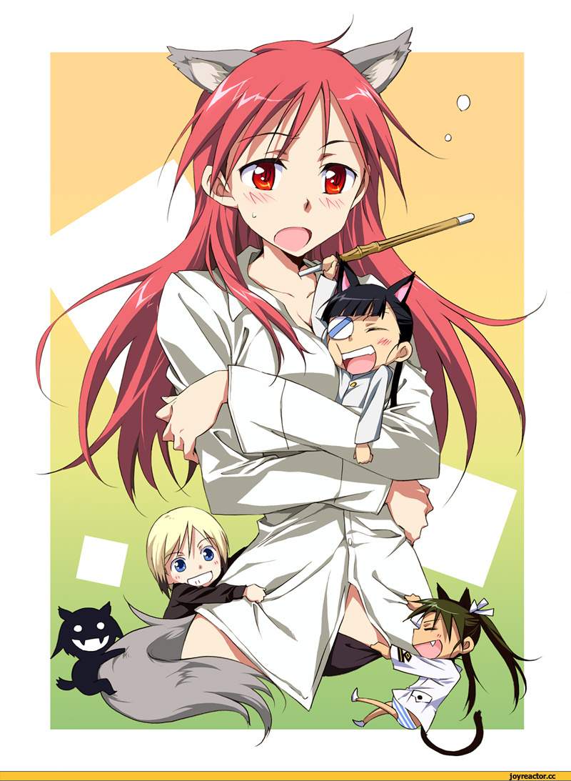 Strike Witches, Inumimi, Animal Ears, Неко, Anime