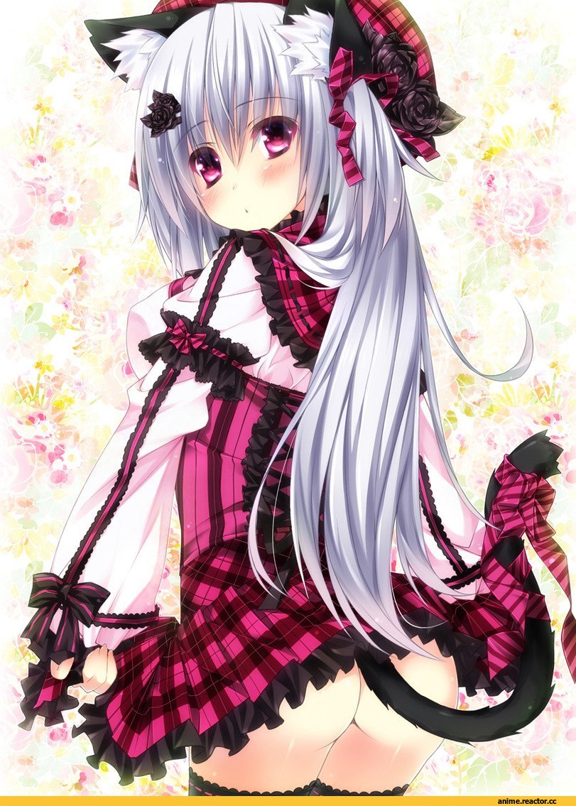 няшка, Неко, Animal Ears, Anime