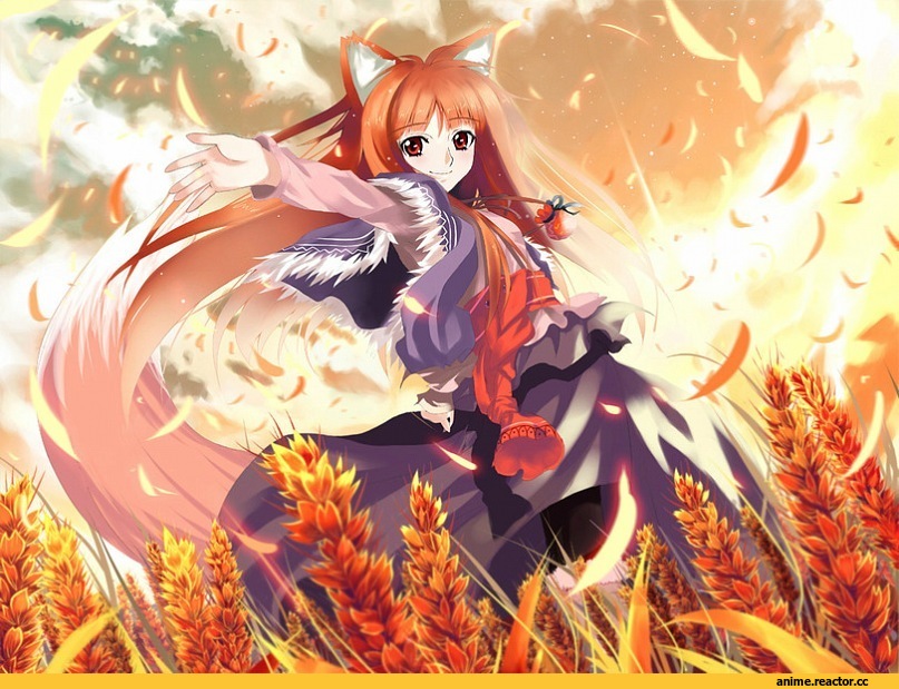 волчица и пряности, Inumimi, Animal Ears, Anime
